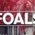 Foals | 30 августа | «МОРЗЕ» 